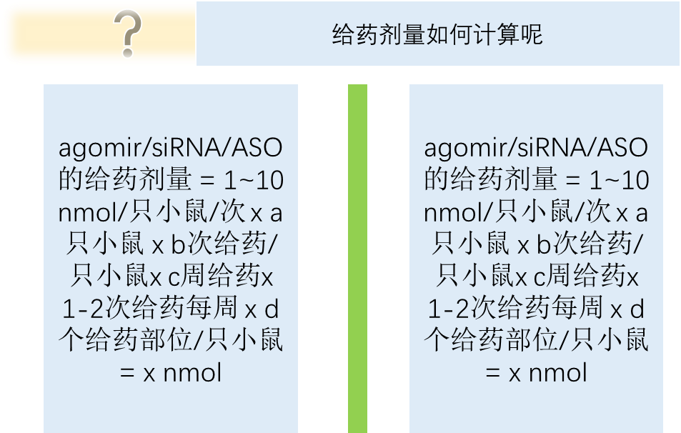 miRNA agomir.png
